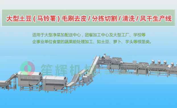 远安连续式土豆去皮清洗切割风干生产线